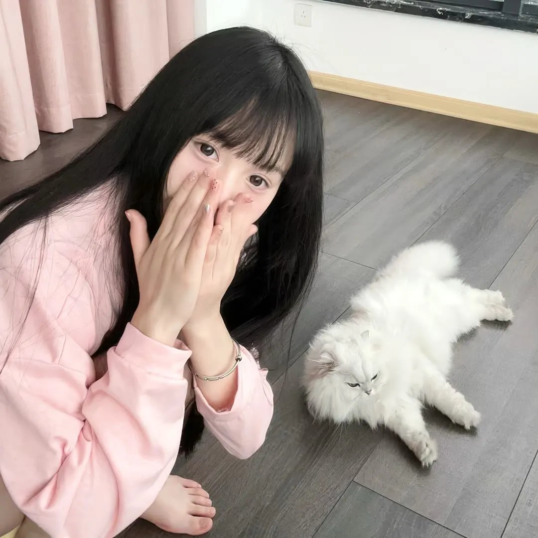 彗星美人